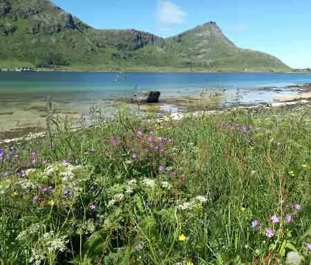 Lofotenhaus Direkt Am アパート Skjelfjord